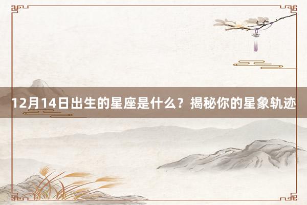 12月14日出生的星座是什么？揭秘你的星象轨迹